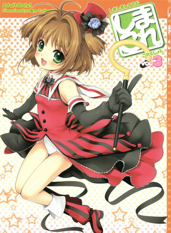 しまこれ3 - しましましすてむ これくしょん VOL3の表紙画像