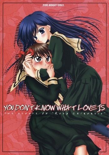 YOU DON'T KNOW WHAT LOVE ISの表紙画像