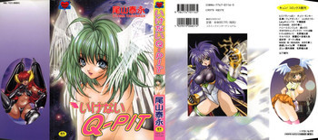 いけないQ-PITの表紙画像