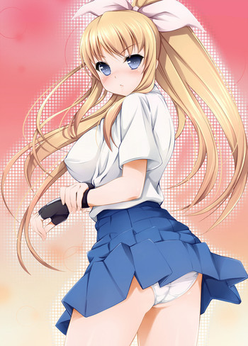 格闘娘レイナの表紙画像