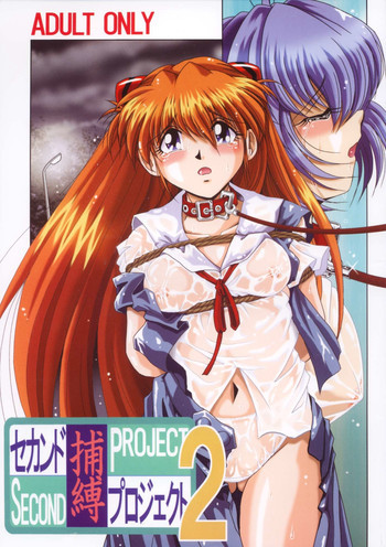 セカンド捕縛プロジェクト2の表紙画像