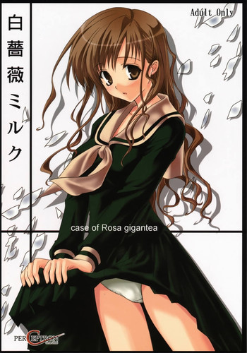白薔薇ミルクの表紙画像