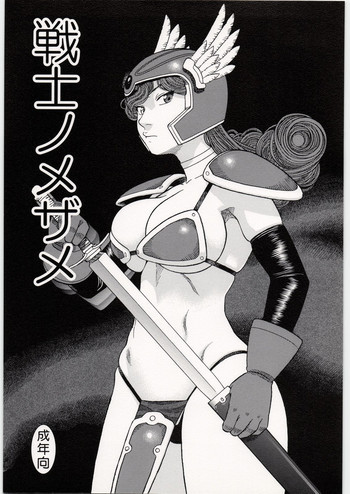 戦士ノメザメの表紙画像