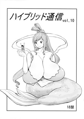 ハイブリッド通信 Vol.10の表紙画像