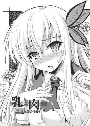 乳と肉の表紙画像