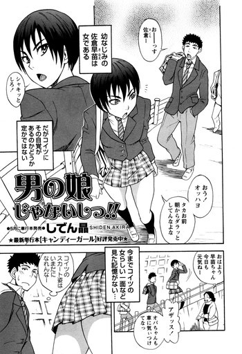 男の娘じゃないしっ!!の表紙画像