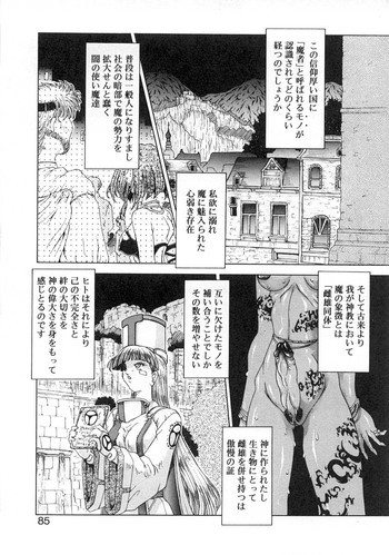 魔女のいる国 1-2の表紙画像