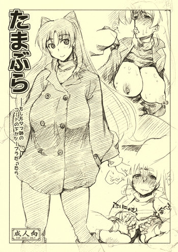 たまぶらの表紙画像