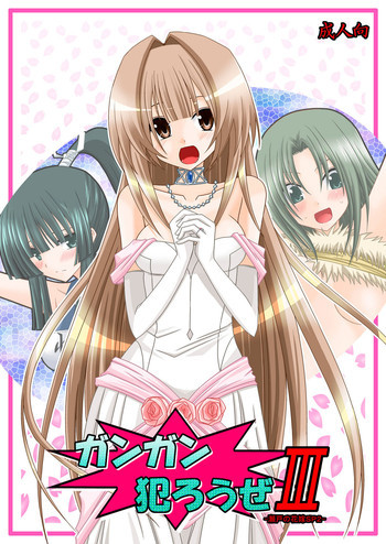ガンガン犯ろうぜIII -瀬戸の花嫁SP2-の表紙画像