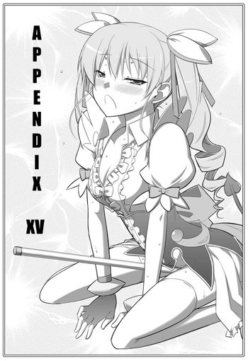 APPENDIX XVの表紙画像