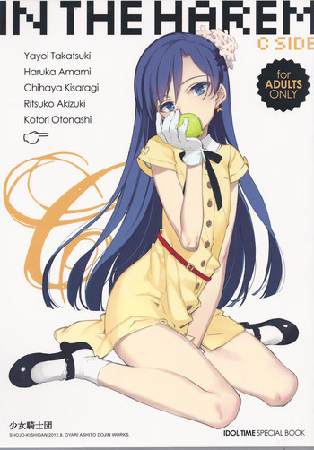 IN THE HAREM C SIDEの表紙画像