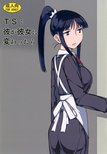 TS：彼が彼女に変わったら [DL版]の表紙画像