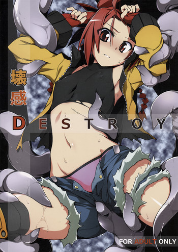 壊感DESTROYの表紙画像