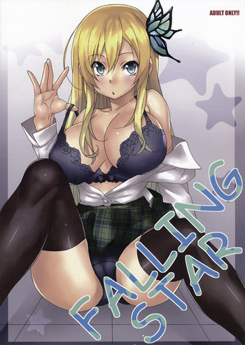 FALLING STARの表紙画像