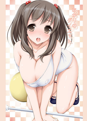 あかりのダイエットの表紙画像