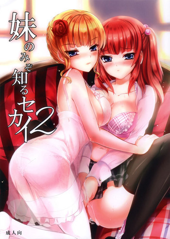 妹のみぞ知るセカイ2の表紙画像