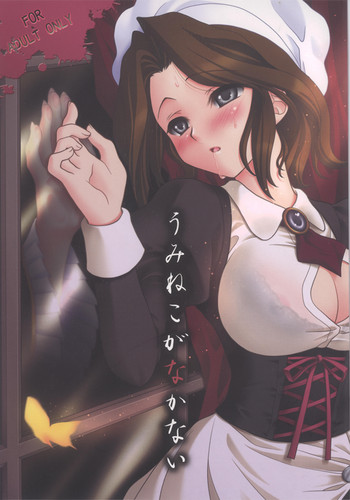 うみねこがなかないの表紙画像