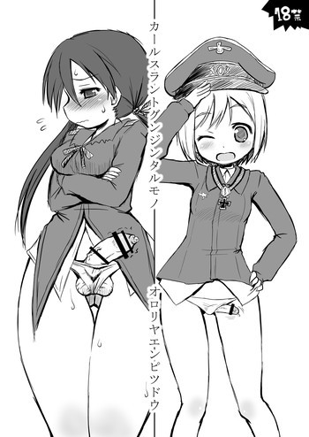 カールスラントグンジンタルモノの表紙画像
