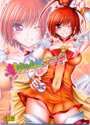 姉ちゃんはサニキの表紙画像
