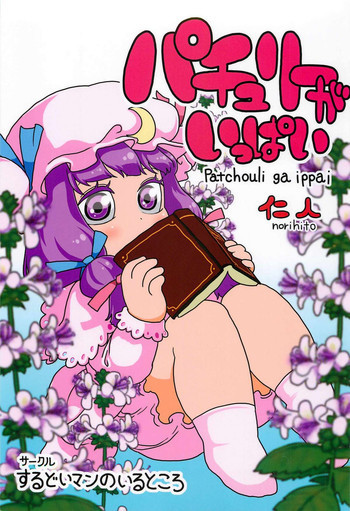 パチュリーがいっぱいの表紙画像
