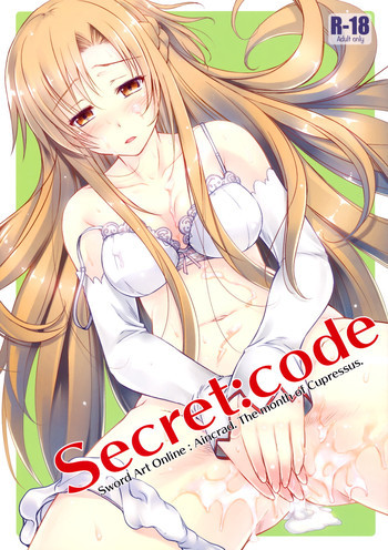 Secret：codeの表紙画像