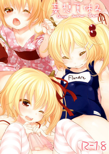 妄想夏休みの表紙画像