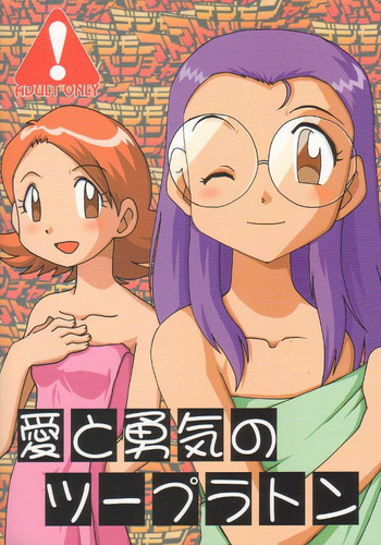 愛と勇気のツープラトンの表紙画像