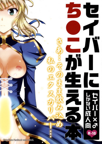 セイバーにち●こが生える本の表紙画像