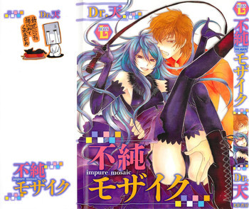 不純モザイクの表紙画像