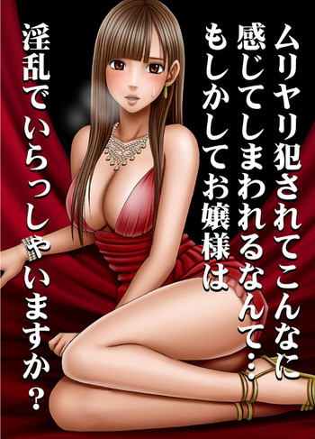 ムリヤリ犯されてこんなに感じてしまわれるなんて…もしかしてお嬢様は淫乱でいらっしゃいますか？の表紙画像