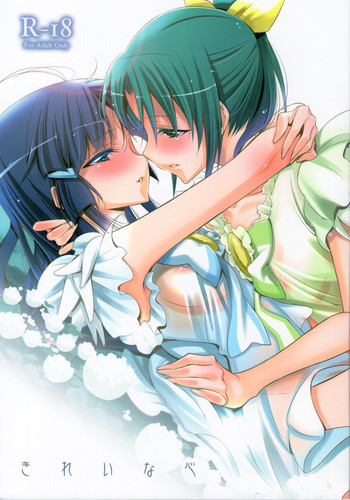 きれいな心の表紙画像