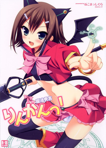 魔法秀吉りんかんっ!の表紙画像