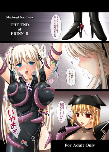 THE END of ERINN IIの表紙画像