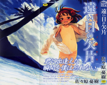 遠い日の欠片の表紙画像