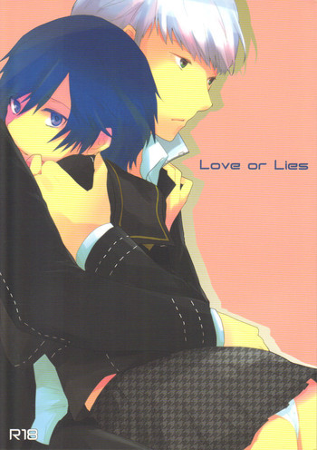 Love or Liesの表紙画像