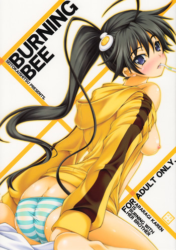 BURNING BEEの表紙画像