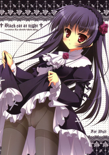 Black cat at nightの表紙画像