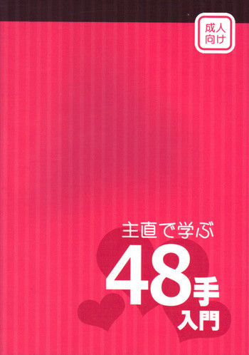 主直で学ぶ48手入門の表紙画像