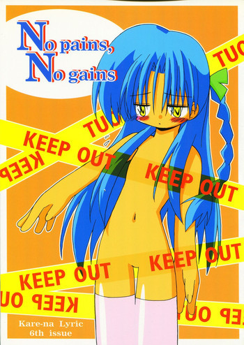 No pains, No gainsの表紙画像