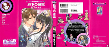 殿下の家電の表紙画像