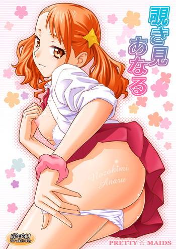 覗き見あなるの表紙画像