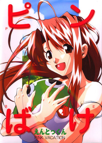 ピンばけの表紙画像