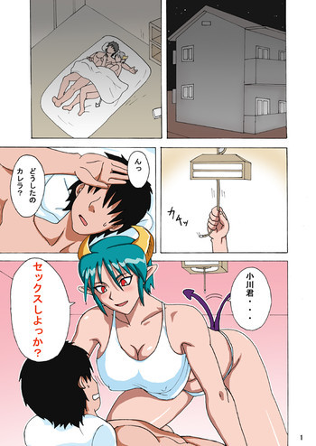 カ○ラさんの家の家庭の情事の表紙画像