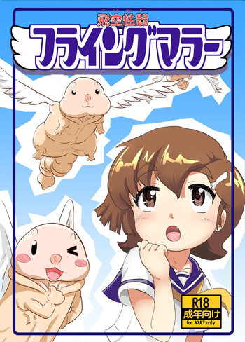 フライングマラーの表紙画像