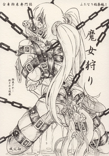 魔女狩りの表紙画像