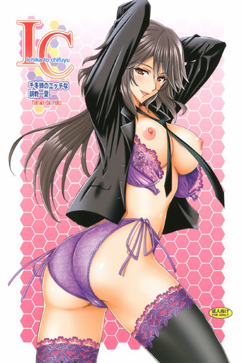 千冬姉のエッチな調教一夏の表紙画像