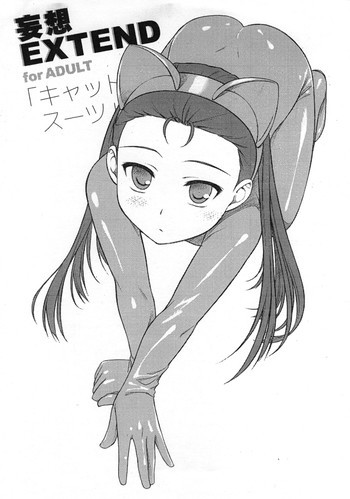 妄想EXTENDの表紙画像