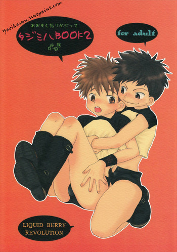 タジミハBOOK2の表紙画像