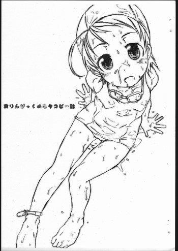 おりんぴっくのネタコピー誌の表紙画像