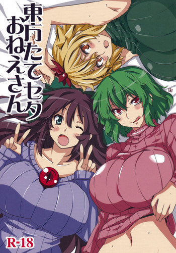 東方たてセタおねえさんの表紙画像